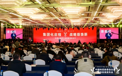 天朝上品集團(tuán)萬商峰會成功舉行