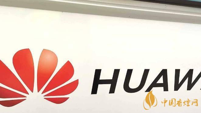 華為手機(jī)開(kāi)發(fā)者模式有什么用？-怎么打開(kāi)？