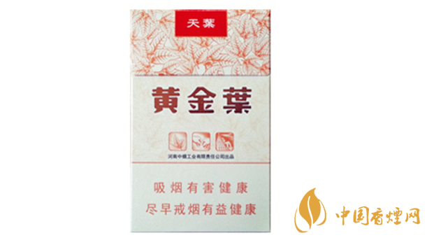 黃金葉天葉真?zhèn)卧趺幢鎰e？天葉真假如何看？