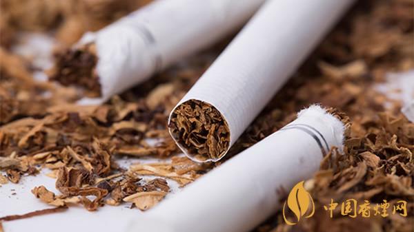 香煙種類及價格 香煙種類大全圖片