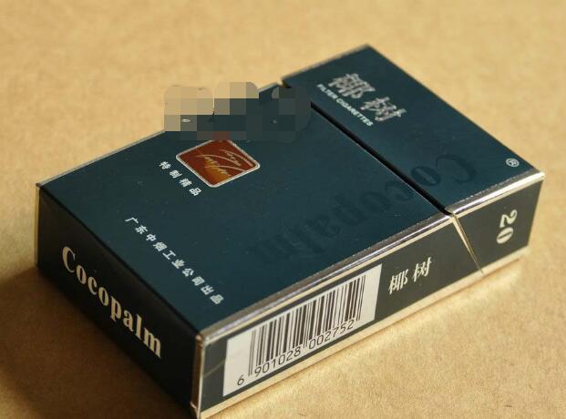 椰樹(shù)(硬精品)