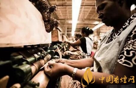雪茄國(guó)度最受歡迎的雪茄工廠(chǎng)之一